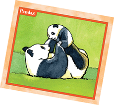 pandas