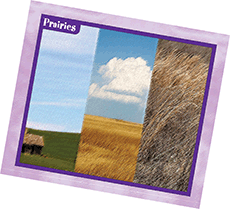 prairies