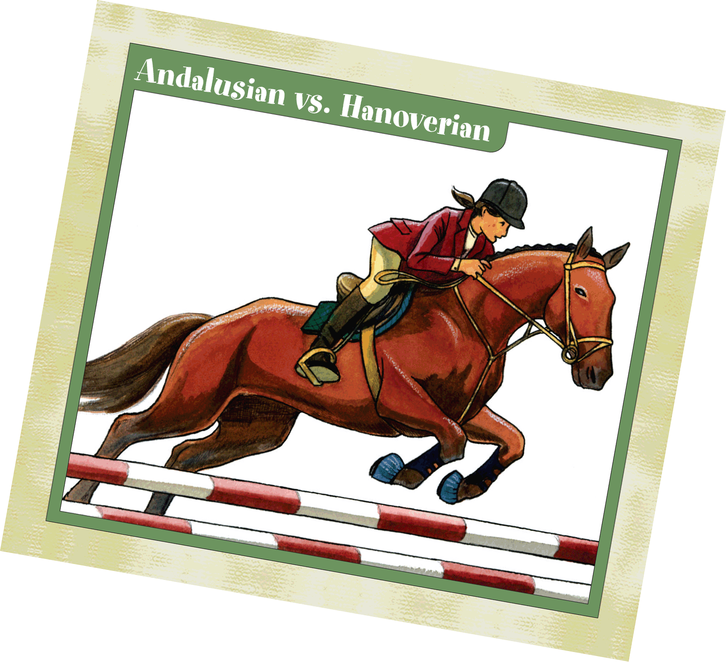 Andalusian vs Hanoverian